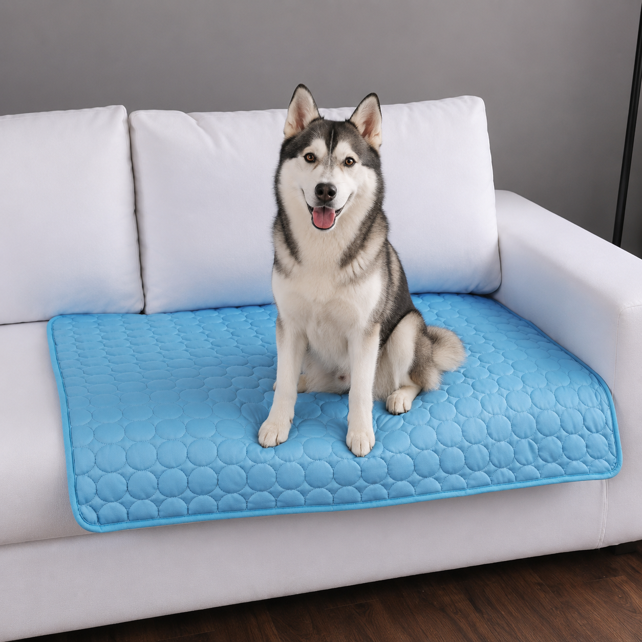 PettaPaw Murphy CoolRest Pet Mat